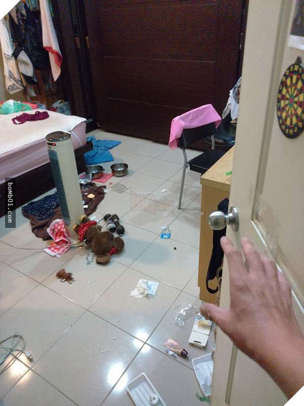 10 cảnh chân thật trước và sau khi nuôi thú cưng, nhiều người xem xong không khỏi ‘khóc ròng’ 10