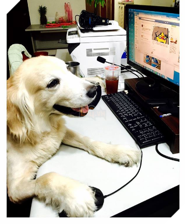 10 cảnh chân thật trước và sau khi nuôi thú cưng, nhiều người xem xong không khỏi ‘khóc ròng’ 2