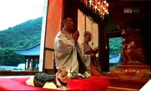 ‘Cúi đầu tạ ơn Ngài ạ!’, những con vật ‘có tín ngưỡng’ này khiến ai nhìn cũng cảm thấy bình yên và hạnh phúc 4