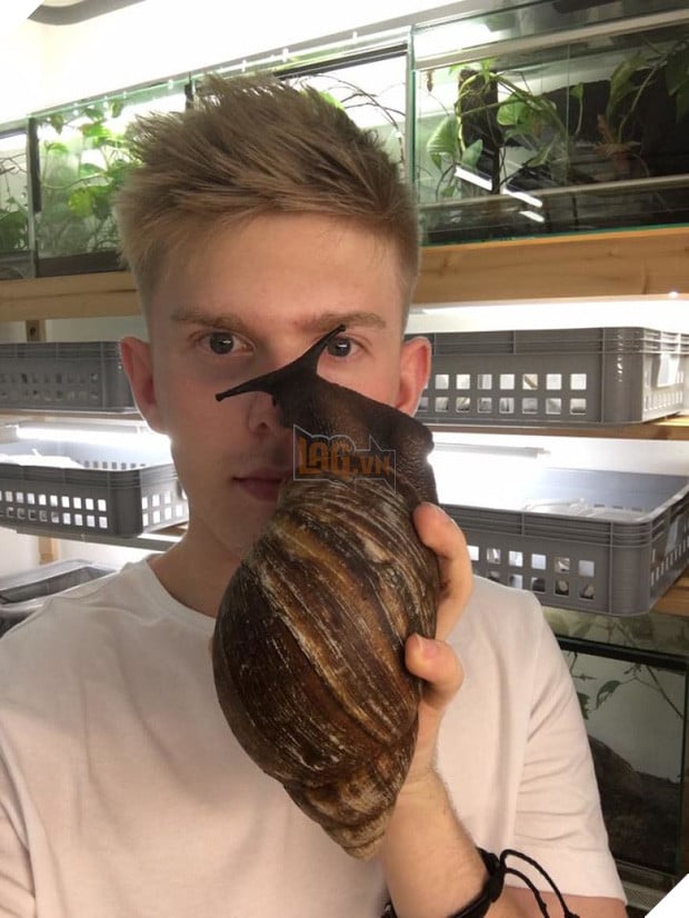 Anh chàng nuôi siêu ốc sên khổng lồ to bằng bàn tay làm thú cưng - Ảnh 4.