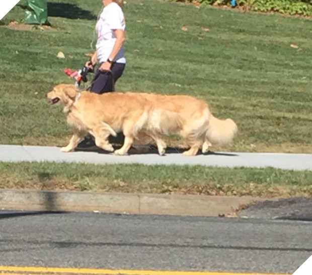 15 bức hình với góc nhìn đúng kiểu thích gây lú lẫn cho người khác - Ảnh 15.