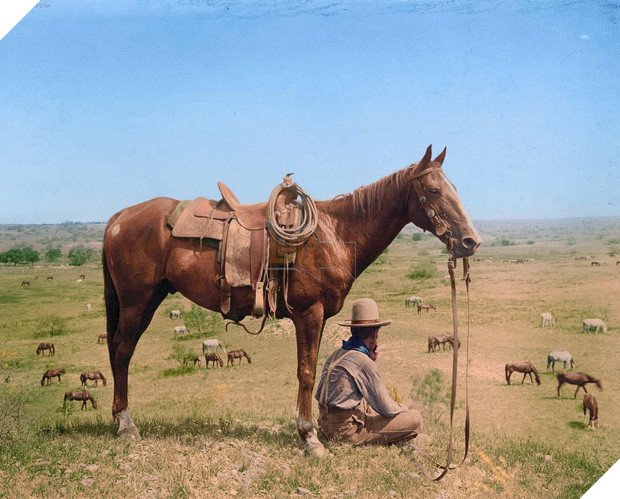 15 bức hình với góc nhìn đúng kiểu thích gây lú lẫn cho người khác - Ảnh 17.