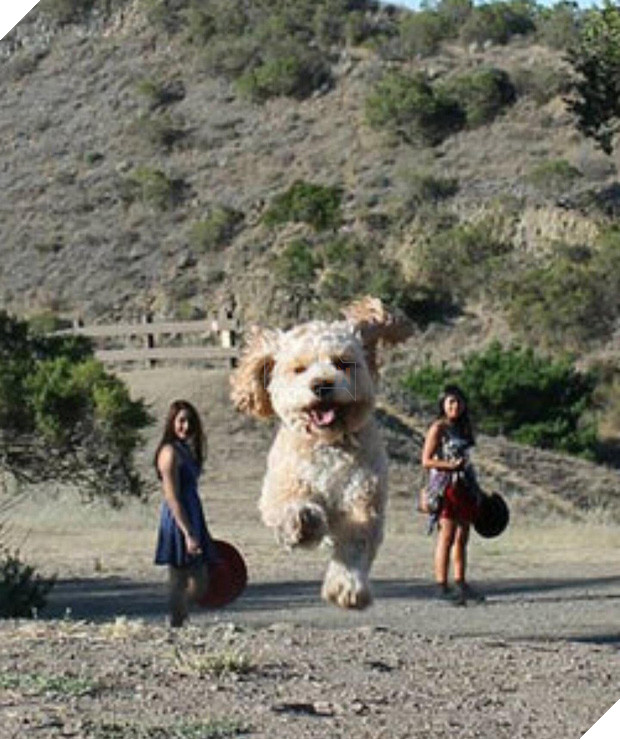 15 bức hình với góc nhìn đúng kiểu thích gây lú lẫn cho người khác - Ảnh 19.