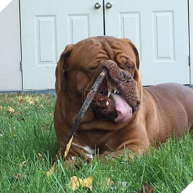 Khi các boss nhờ thằng nô với con sen không có tâm chụp hộ kiểu ảnh - Ảnh 17.