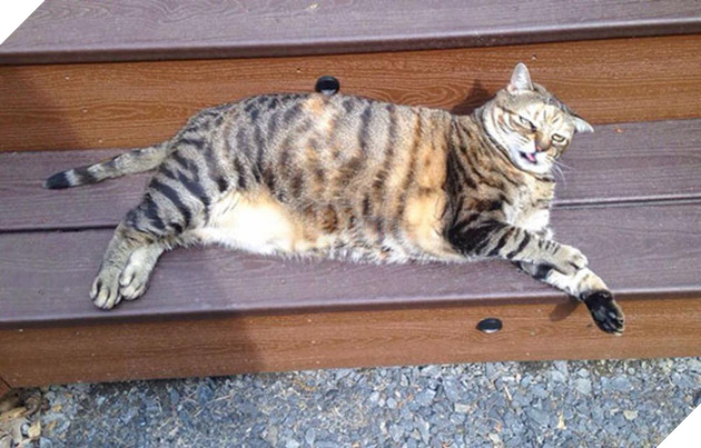 Khi các boss nhờ thằng nô với con sen không có tâm chụp hộ kiểu ảnh - Ảnh 15.