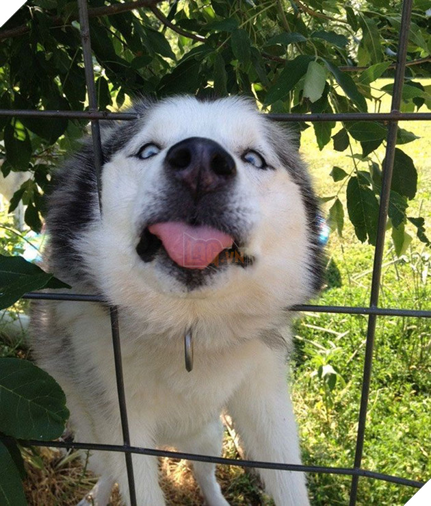 Khi các boss nhờ thằng nô với con sen không có tâm chụp hộ kiểu ảnh - Ảnh 7.