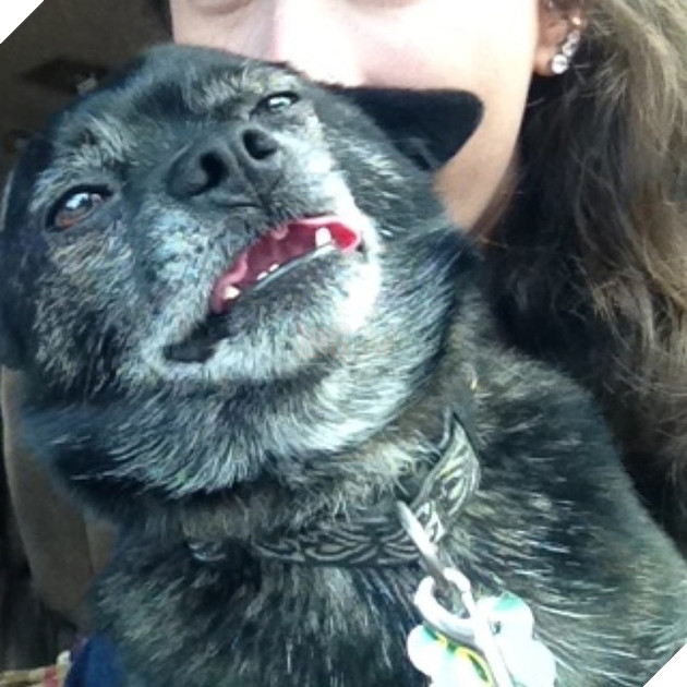 Khi các boss nhờ thằng nô với con sen không có tâm chụp hộ kiểu ảnh - Ảnh 3.