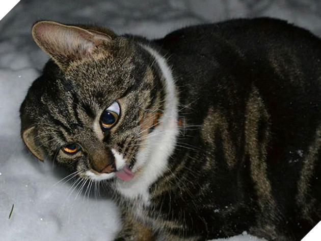 Khi các boss nhờ thằng nô với con sen không có tâm chụp hộ kiểu ảnh - Ảnh 25.