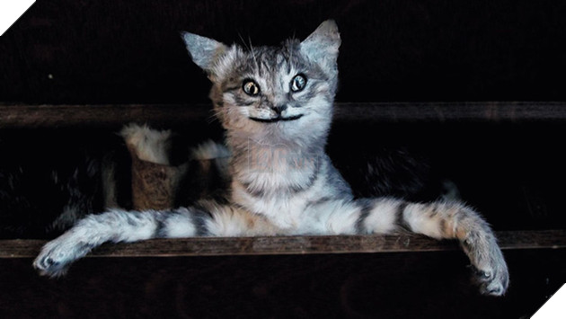 Khi các boss nhờ thằng nô với con sen không có tâm chụp hộ kiểu ảnh - Ảnh 33.