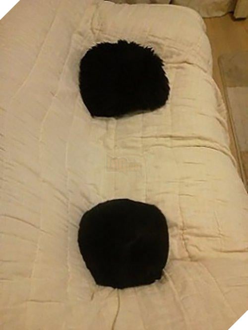 Cô lên mạng than: ‘Suốt ngày giẫm phải mèo cưng’, mọi người trách cô bất cẩn nhưng xem hình ai cũng ‘nghẹn lời’ 4