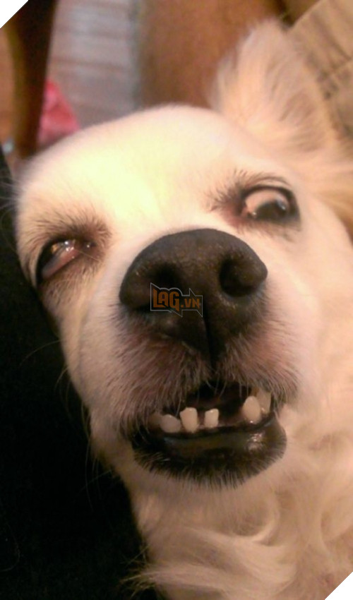 "Con biết tướng con ngủ là bao xấu, mẹ không được dìm... hàng...zzz".