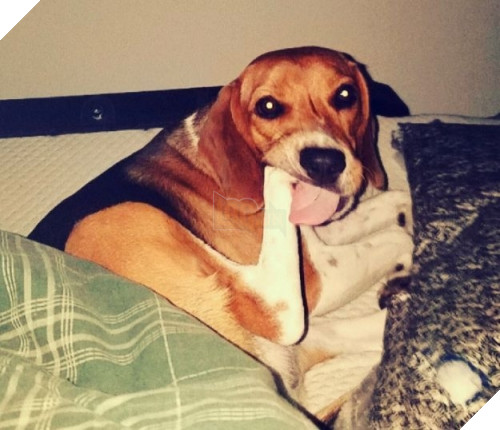 "Nhìn gì mà nhìn? Không dùng tăm được thì người ta dùng chân thôi, có gì lạ lùng đáng lên án chứ?!"