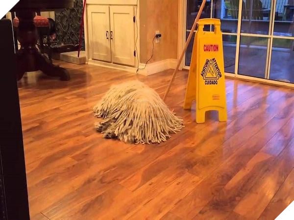 Cô lên mạng than: ‘Suốt ngày giẫm phải mèo cưng’, mọi người trách cô bất cẩn nhưng xem hình ai cũng ‘nghẹn lời’ 8