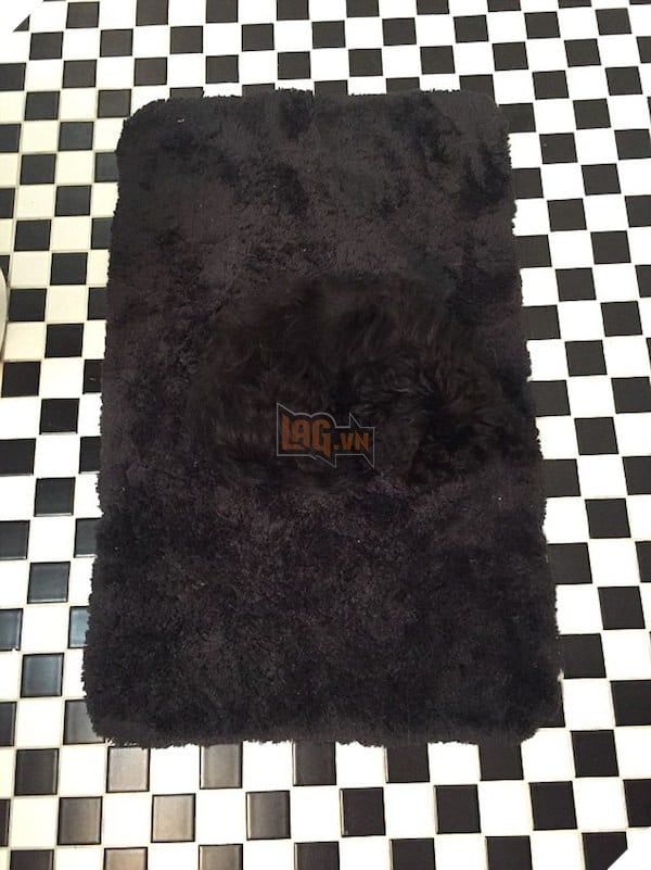 Cô lên mạng than: ‘Suốt ngày giẫm phải mèo cưng’, mọi người trách cô bất cẩn nhưng xem hình ai cũng ‘nghẹn lời’ 11