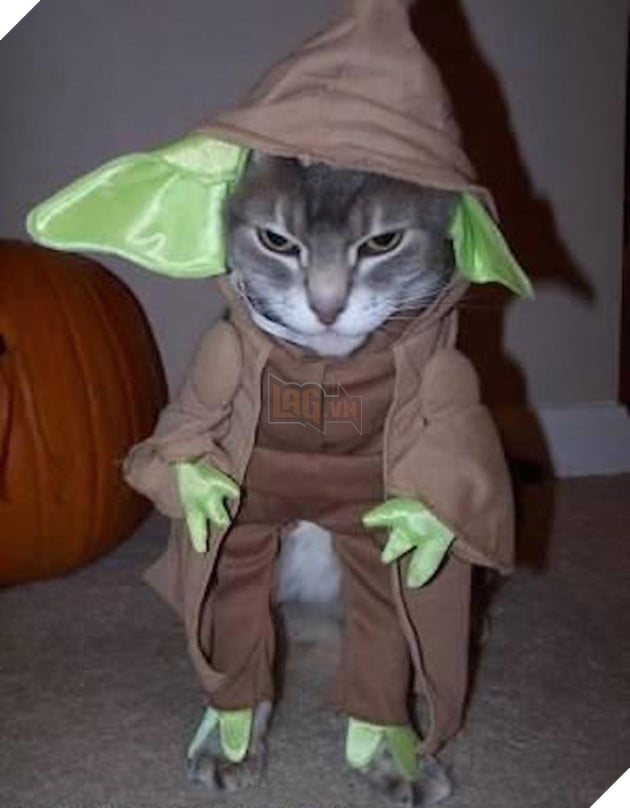 Vẻ mặt hậm hực của 19 boss khi bị con sen bắt cosplay như lũ ngớ ngẩn - Ảnh 1.