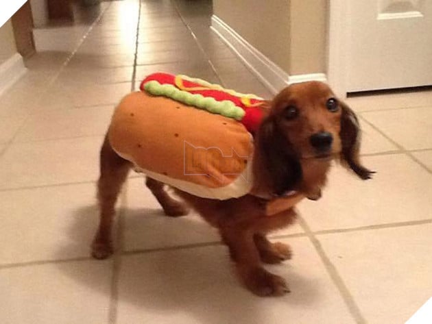 Vẻ mặt hậm hực của 19 boss khi bị con sen bắt cosplay như lũ ngớ ngẩn - Ảnh 19.