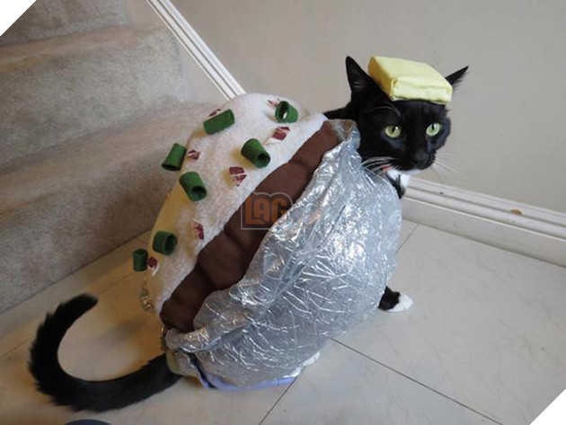 Vẻ mặt hậm hực của 19 boss khi bị con sen bắt cosplay như lũ ngớ ngẩn - Ảnh 23.