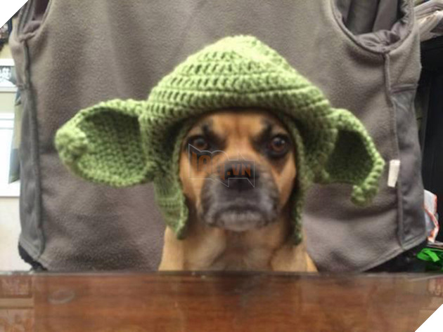 Vẻ mặt hậm hực của 19 boss khi bị con sen bắt cosplay như lũ ngớ ngẩn - Ảnh 27.