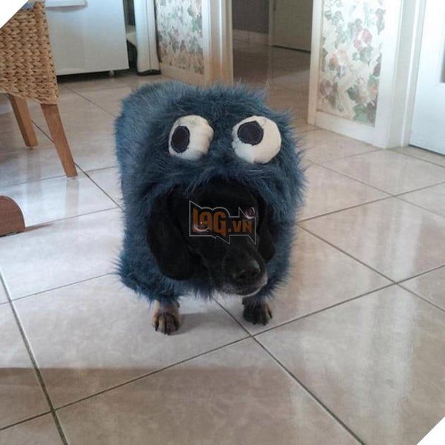 Vẻ mặt hậm hực của 19 boss khi bị con sen bắt cosplay như lũ ngớ ngẩn - Ảnh 31.