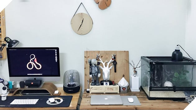 Góc chơi game cực chất có cả tủ nuôi rắn của một game thủ Việt