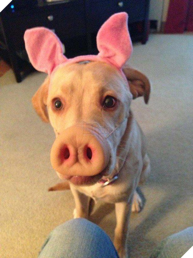 Vẻ mặt hậm hực của 19 boss khi bị con sen bắt cosplay như lũ ngớ ngẩn - Ảnh 7.