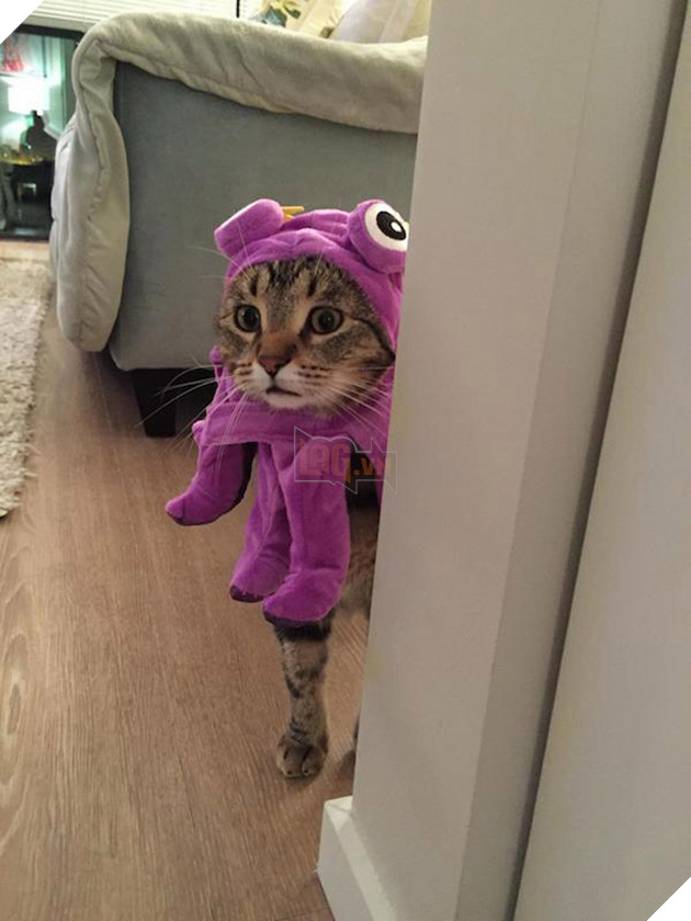 Vẻ mặt hậm hực của 19 boss khi bị con sen bắt cosplay như lũ ngớ ngẩn - Ảnh 9.