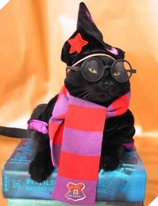 Vẻ mặt hậm hực của 19 boss khi bị con sen bắt cosplay như lũ ngớ ngẩn - Ảnh 11.