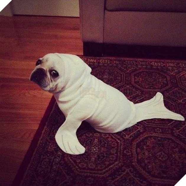 Vẻ mặt hậm hực của 19 boss khi bị con sen bắt cosplay như lũ ngớ ngẩn - Ảnh 13.