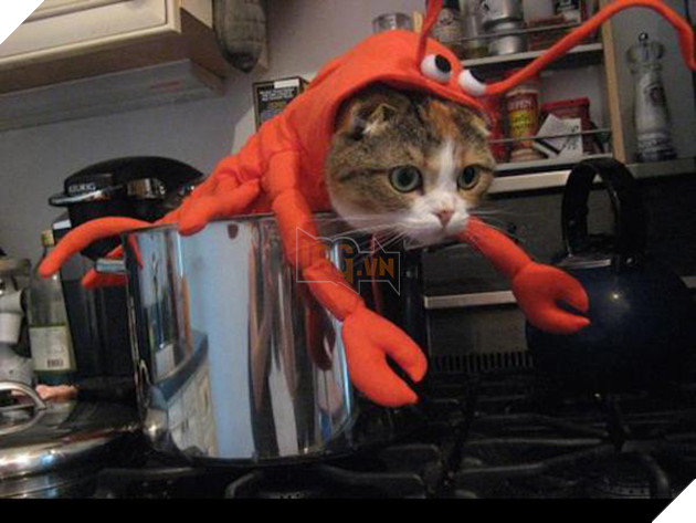 Vẻ mặt hậm hực của 19 boss khi bị con sen bắt cosplay như lũ ngớ ngẩn - Ảnh 15.