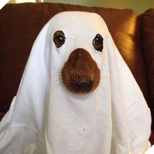 Vẻ mặt hậm hực của 19 boss khi bị con sen bắt cosplay như lũ ngớ ngẩn - Ảnh 17.