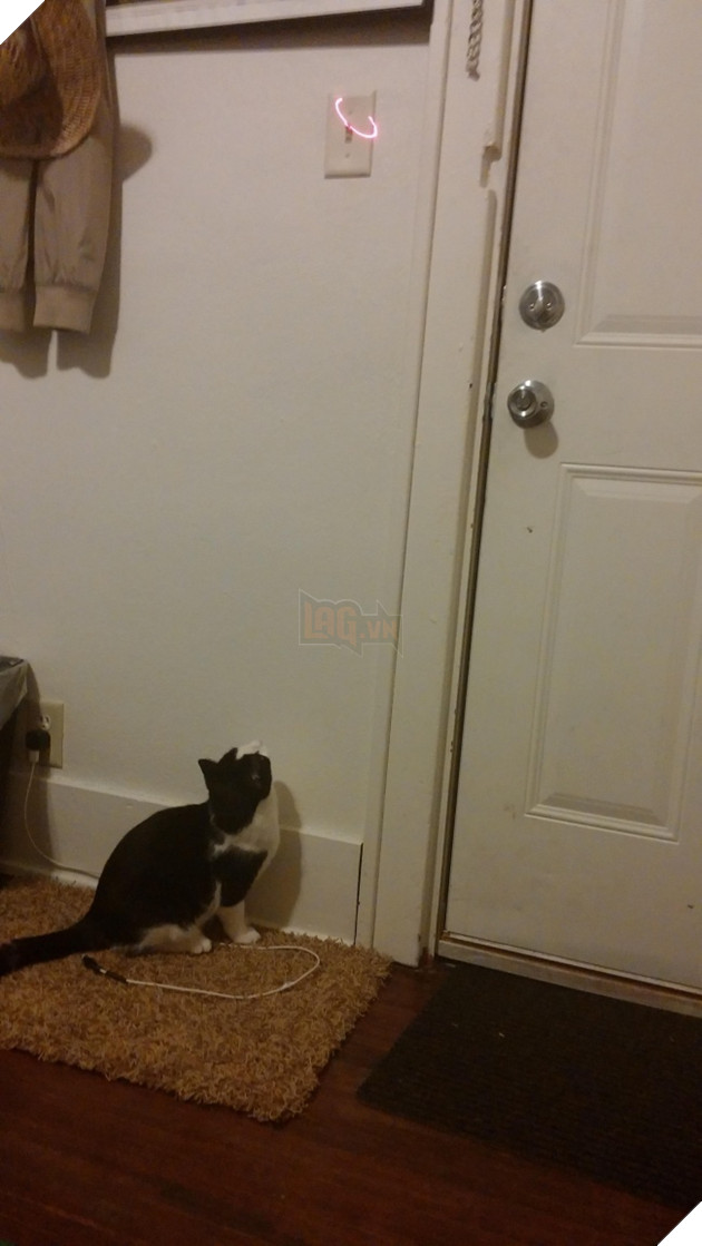 20 sáng kiến chứng tỏ thánh lười là những người thông minh nhất thế giới - Ảnh 17.