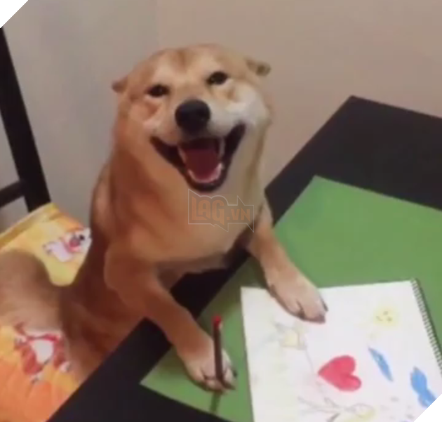 Chú Shiba tưởng mình là người, suốt ngày chỉ xem phim với vẽ tranh