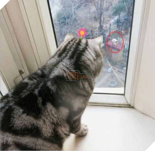 Boss cứ nhìn ngoài cửa sổ suốt cả tiếng đồng hồ, Sen tò mò lại xem và phát hiện cảnh tượng kinh hoàng