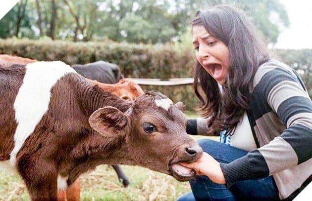 19 trò phá đám hội nghị của đám động vật xấu tính, xấu nết - Ảnh 37.