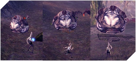 BnS: Hướng dẫn phụ bản Rừng Bóng Ma chi tiết dành cho tân thủ 5