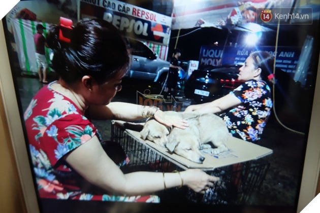Clip 2 chú chó bị kéo lê đến chảy máu trên đường phố và đoạn kết đẹp từ sự bao đồng của người Sài Gòn - Ảnh 4.