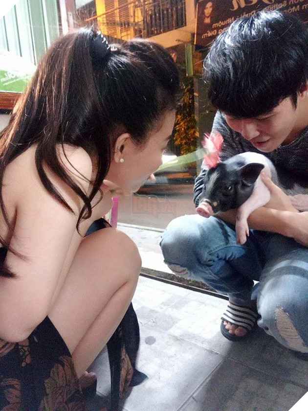 Chú heo tên Chó - thú cưng của đôi bạn ở Sài Gòn: Ăn tất cả mọi thứ, rồi ngủ và đi lòng vòng - Ảnh 2.