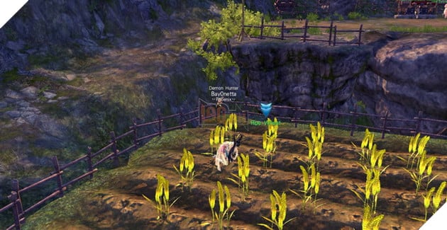 Hướng dẫn BnS: Cách vào Trang Trại Thiên Đường và làm nhiệm vụ hằng ngày 16