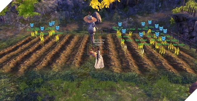 Hướng dẫn BnS: Cách vào Trang Trại Thiên Đường và làm nhiệm vụ hằng ngày 31