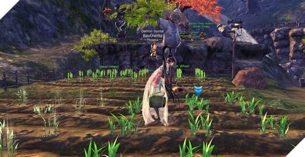 Hướng dẫn BnS: Cách vào Trang Trại Thiên Đường và làm nhiệm vụ hằng ngày 11