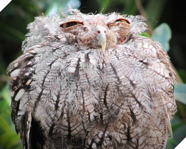 4264222201_1975a41019_b