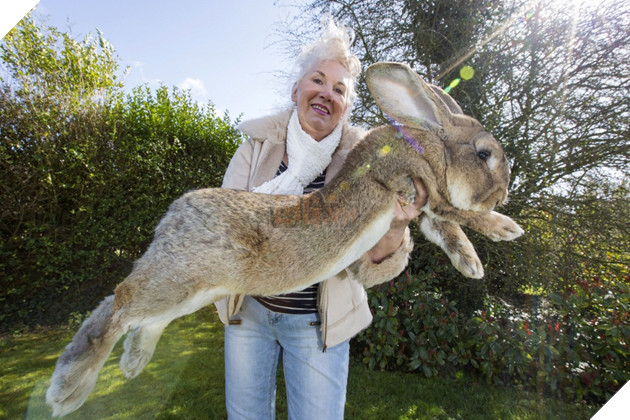 Tuyển tập những tác phẩm khiến bạn đau não không hiểu có phải Photoshop hay không - Ảnh 13.