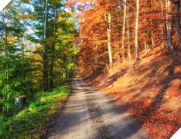 Tuyển tập những tác phẩm khiến bạn đau não không hiểu có phải Photoshop hay không - Ảnh 2.