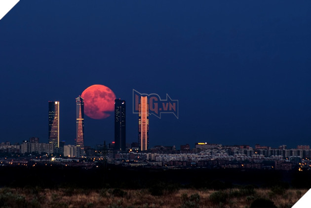 Tuyển tập những tác phẩm khiến bạn đau não không hiểu có phải Photoshop hay không - Ảnh 12.