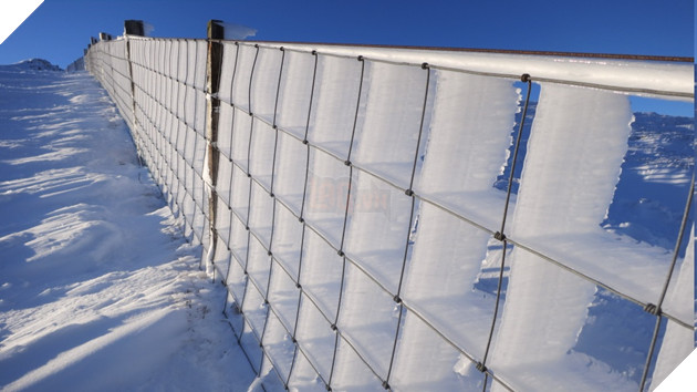 Tuyển tập những tác phẩm khiến bạn đau não không hiểu có phải Photoshop hay không - Ảnh 3.