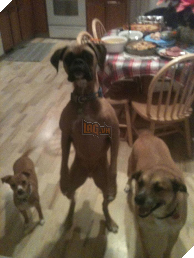 59de28741e56d_joftz4br__700