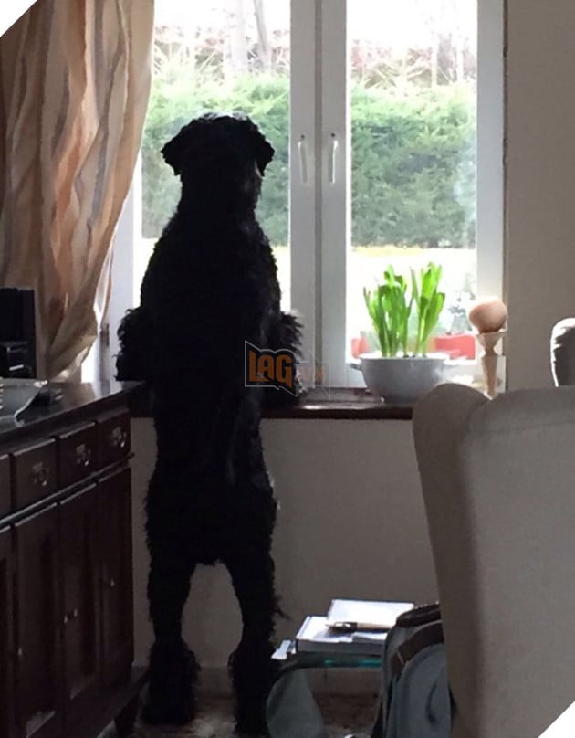 fullsizerender-59de75cdea49a__700