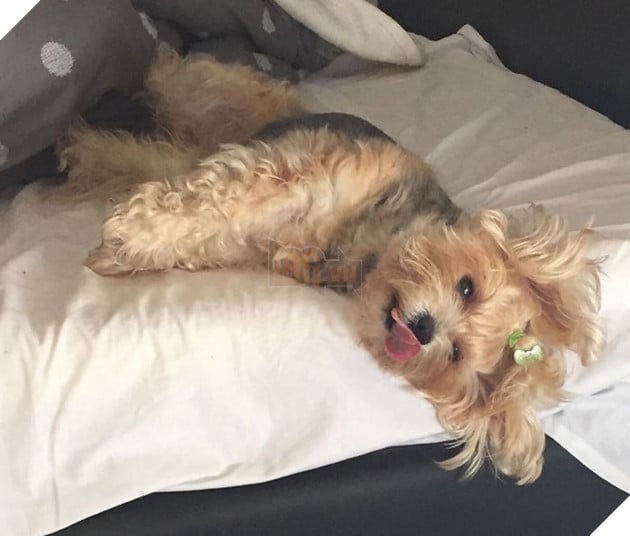 image-59de890c4aece__700