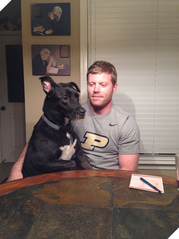 image-59deb6e180427__700