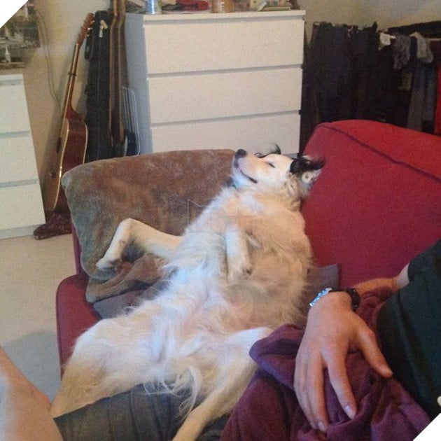 img_0105-59de2c9f4a446__700